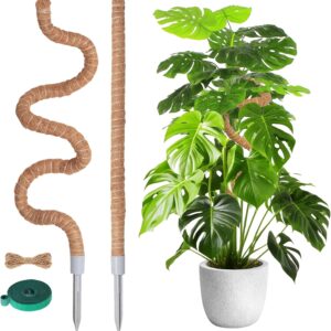 Tuteur pour Plantes Grimpante 2 Pièces